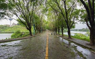 beat365众志成城全力防抗强台风“山竹”