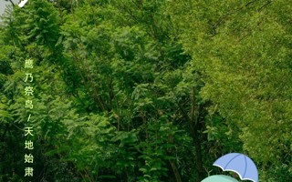 处暑｜一袭清风避暑意，秋景初微向美好