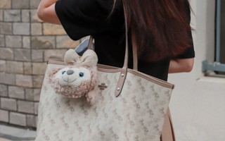 #beat365中文唯一官网#  东软人上课背啥包（一）你们的包上有可爱的娃娃吗~ ​​​