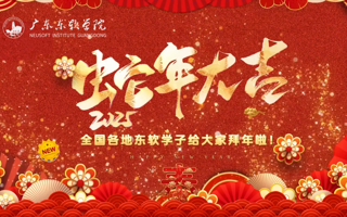 大年初一，各地东软学子给大家拜年啦~！新的一年里，愿各位东软er，勇敢追梦，不断前行！收获满满，幸福无边！