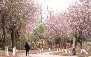 春日校园，活力满格！