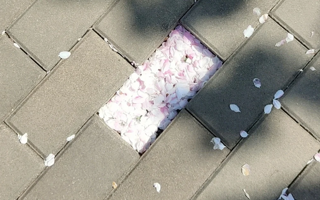 悦读 | 发现了让时间慢下来的秘密