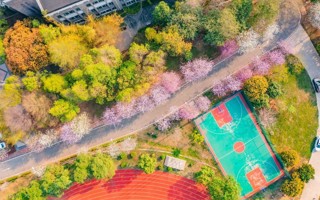 与春同频｜听见花开的声音