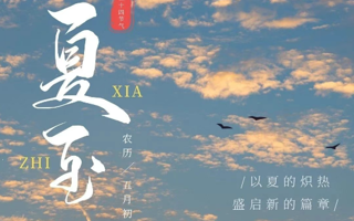 夏至｜流光半夏，美好日长