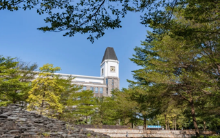 看完这篇，你就是最懂东软的崽！