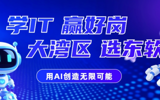 学IT 赢好岗 大湾区 选东软 | 2026年专升本招生专业发布！