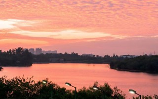 抬头看看窗外！晚霞落在校园的每一处